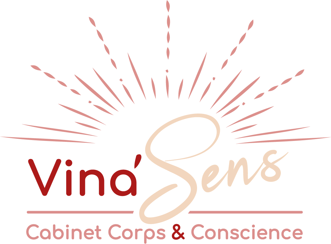 logo vinasens